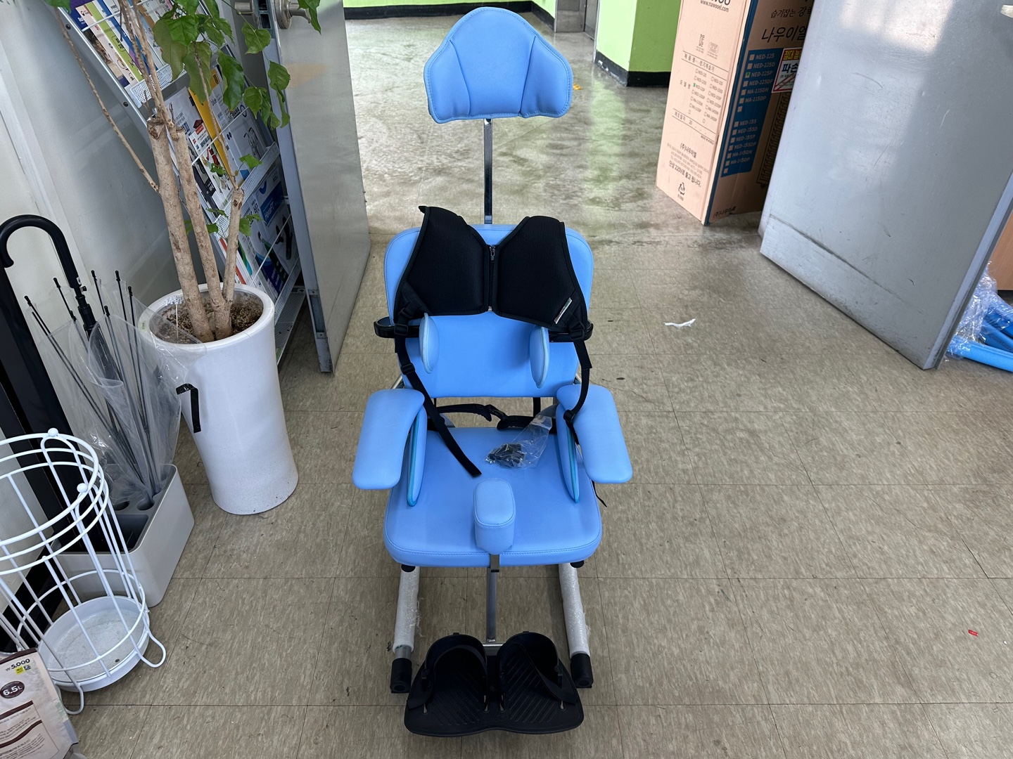 도리 스페셜시트